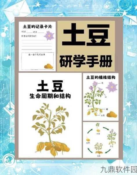 创造与魔法土豆分布详解，探索游戏中的美食之源