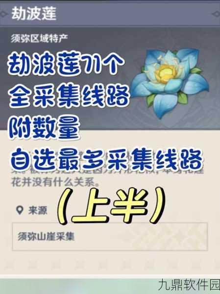 原神劫波莲详尽采集攻略与实用指南