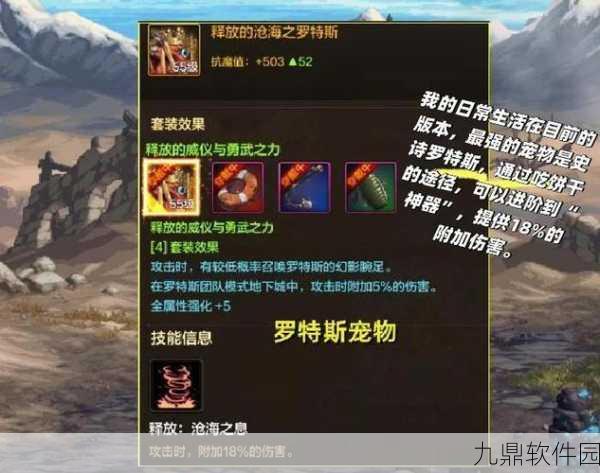 DNF手游导师套宠物深度解析,是否你的最佳选择?