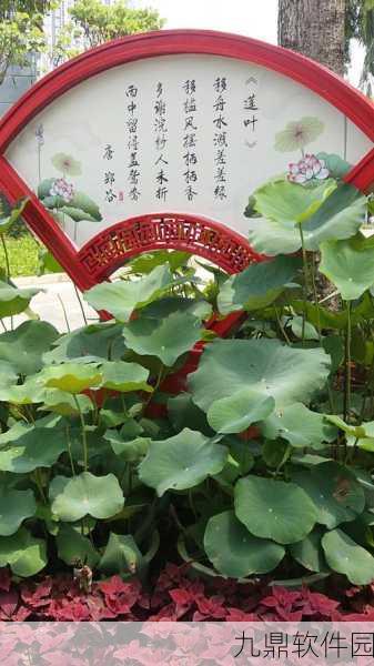 天刀手游荷花池探秘，荷花获取与美景赏析