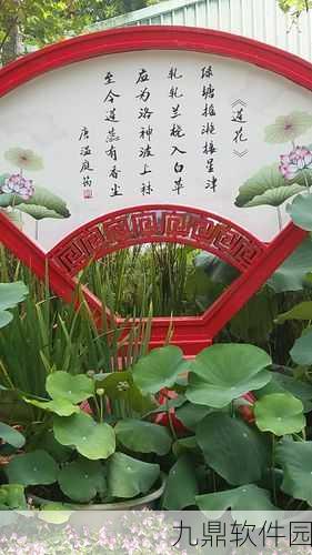 天刀手游荷花池探秘,荷花获取与美景赏析