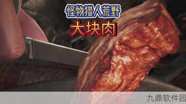 怪物猎人世界，肉块作用详解及获取方法与利用策略全解析