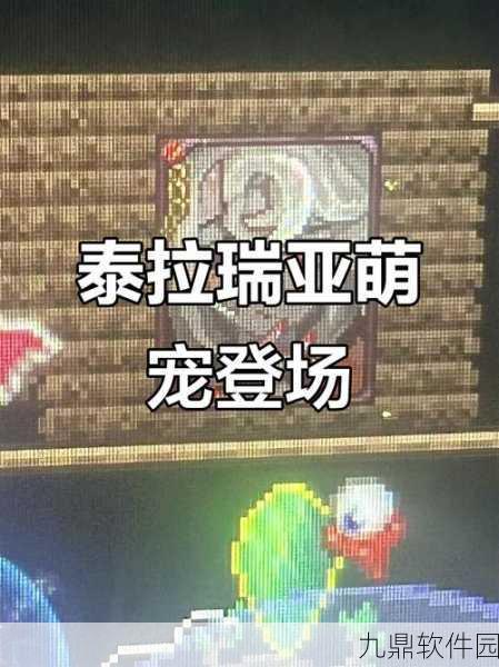 泰拉瑞亚新增萌宠，呆呆猫可爱来袭，获取攻略大揭秘