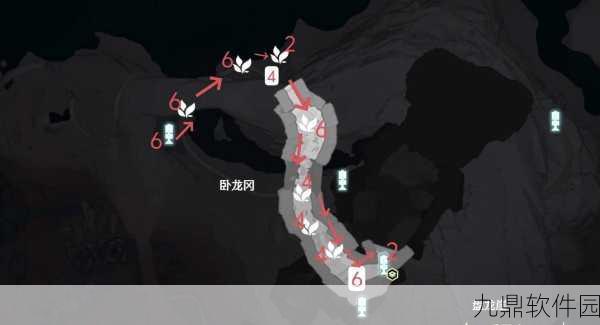 鸣潮龙吐珠采集指南，揭秘高效采集路线，助力玩家资源满载
