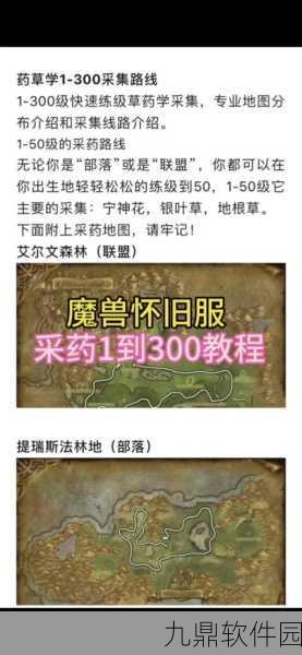 魔兽世界雨燕草的神奇效果与绝佳采集秘籍