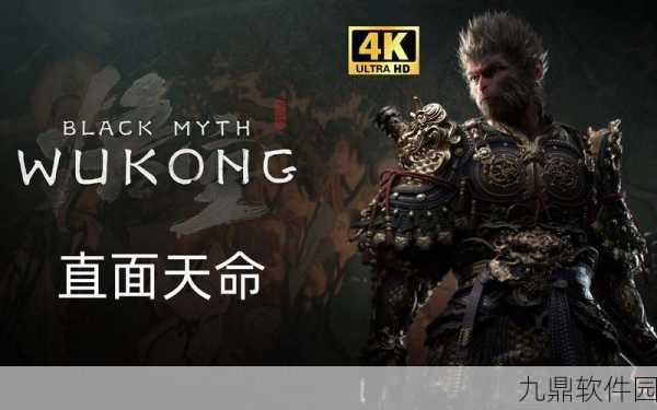 黑神话,孙悟空光碟版手游资讯,探索游戏艺术的极致魅力
