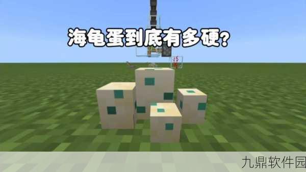 探秘我的世界,海龟蛋高效采集秘籍