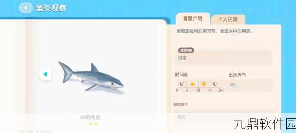 心动小镇海鱼捕捞技巧与资源地点全攻略