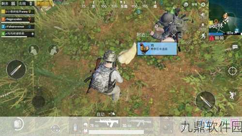 绝地求生刺激战场,揭秘鸡位置及20只鸡的神秘用途