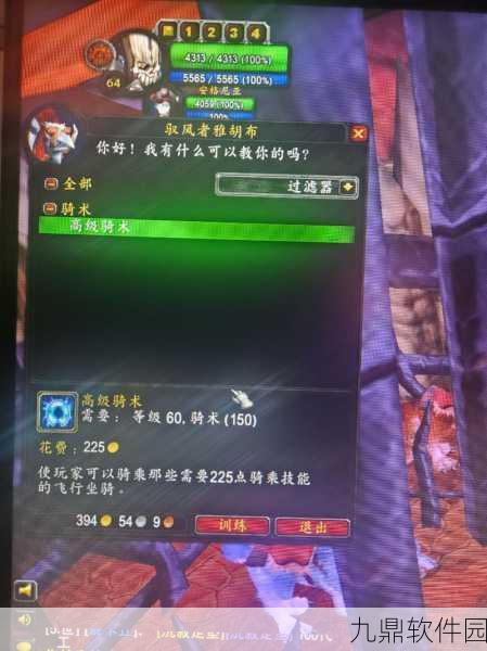 魔兽世界WLK飞行骑术秘籍，掌握飞行技巧，畅游艾泽拉斯蓝天