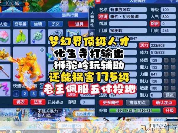 梦幻西游无双版新版幻兽争霸，深度攻略心得与技巧解析