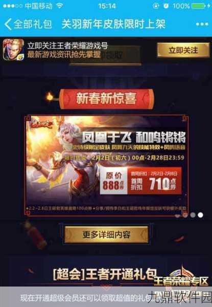 王者荣耀凤仪之昭探索指南，深入解读新版本与活动资讯