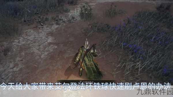 艾尔登法环深度探索,揭秘最具趣味性的职业玩法