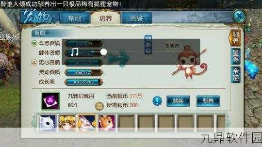 诛仙手游稀有黄鸟宠物技能最优选择与实战推荐深度解析
