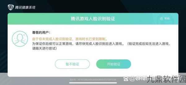 王者荣耀人脸识别验证机制详解,持续时间与影响分析