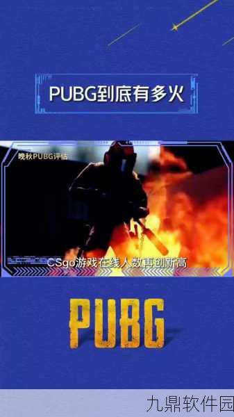 手游资讯指令，绝地求生印度版被禁原因深度解析