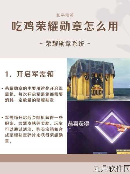 和平精英军需勋章免费获取全攻略，深入剖析勋章荣誉系统