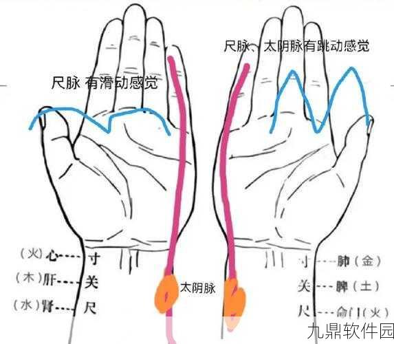 大掌门练脉系统深度解析,每重提升带来的战力飞跃