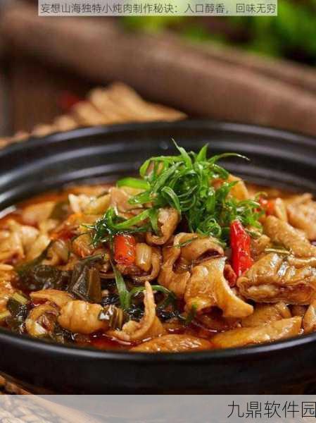 妄想山海小炖肉制作秘诀大揭秘，独家炖肉配方与技巧助你手游之旅更添风味