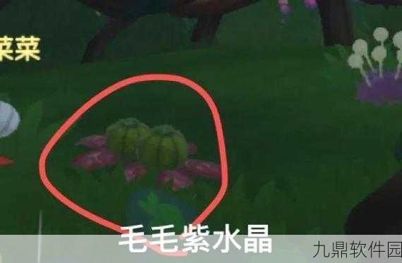 摩尔庄园手游黑森林签到活动奖励全揭秘